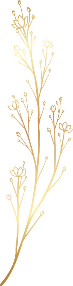 HOME 13 &ndash; Helena SOL ⇢ Micropigmentación en Barcelona Helena SOL | Micropigmentación en Barcelona