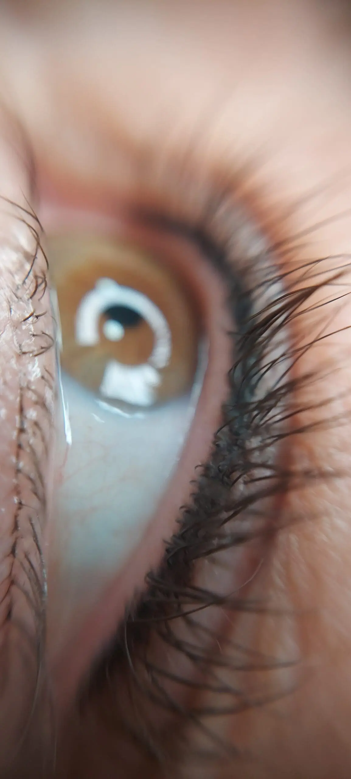 TRATAMIENTOS 2 &ndash; Helena SOL ⇢ Micropigmentación en Barcelona Helena SOL | Micropigmentación en Barcelona