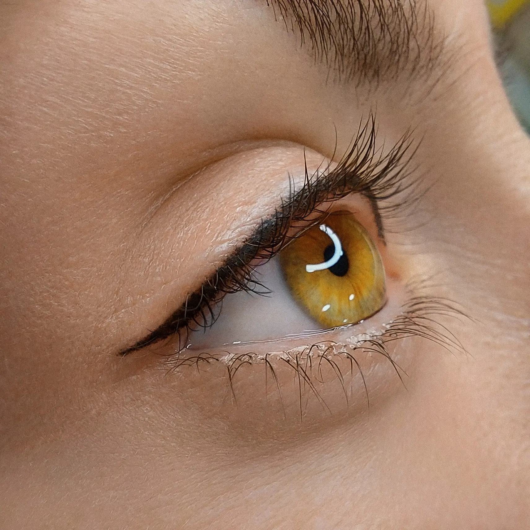 centro de micropigmentación